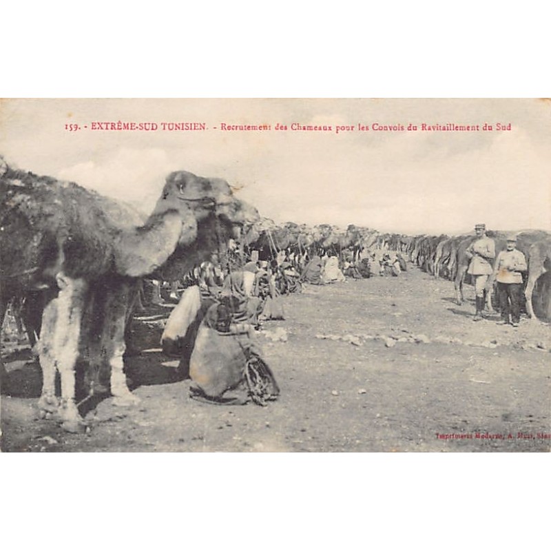 Rare collectable postcards of TUNISIA. Vintage Postcards of TUNISIA