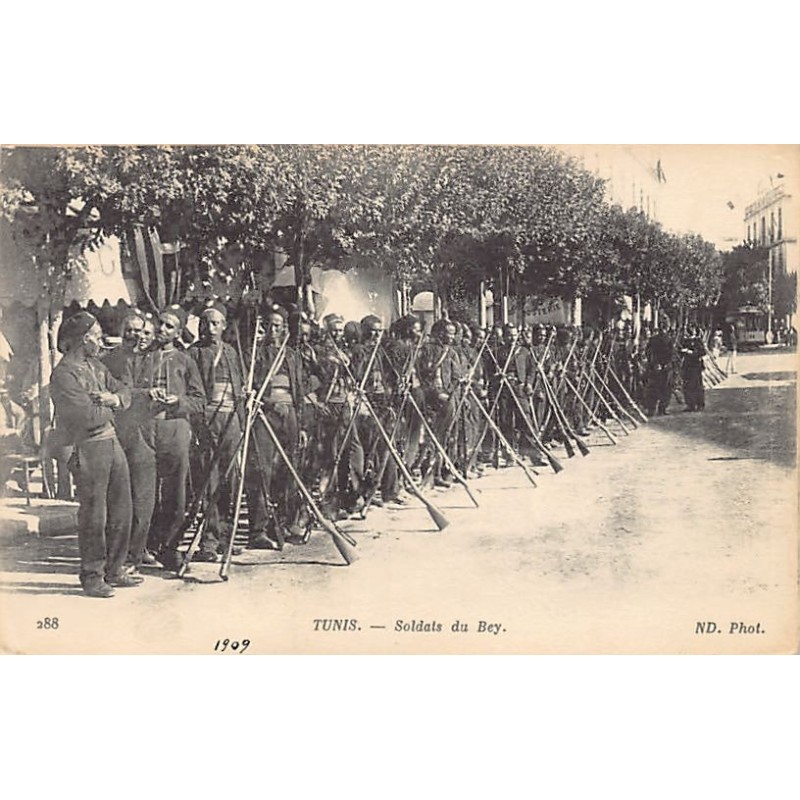 Rare collectable postcards of TUNISIA. Vintage Postcards of TUNISIA