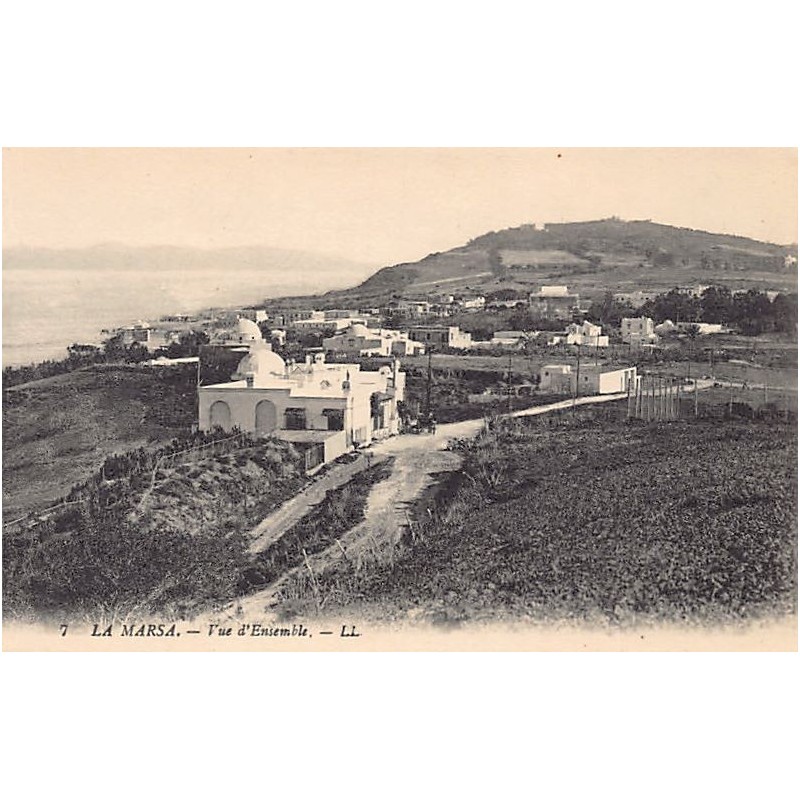 Rare collectable postcards of TUNISIA. Vintage Postcards of TUNISIA