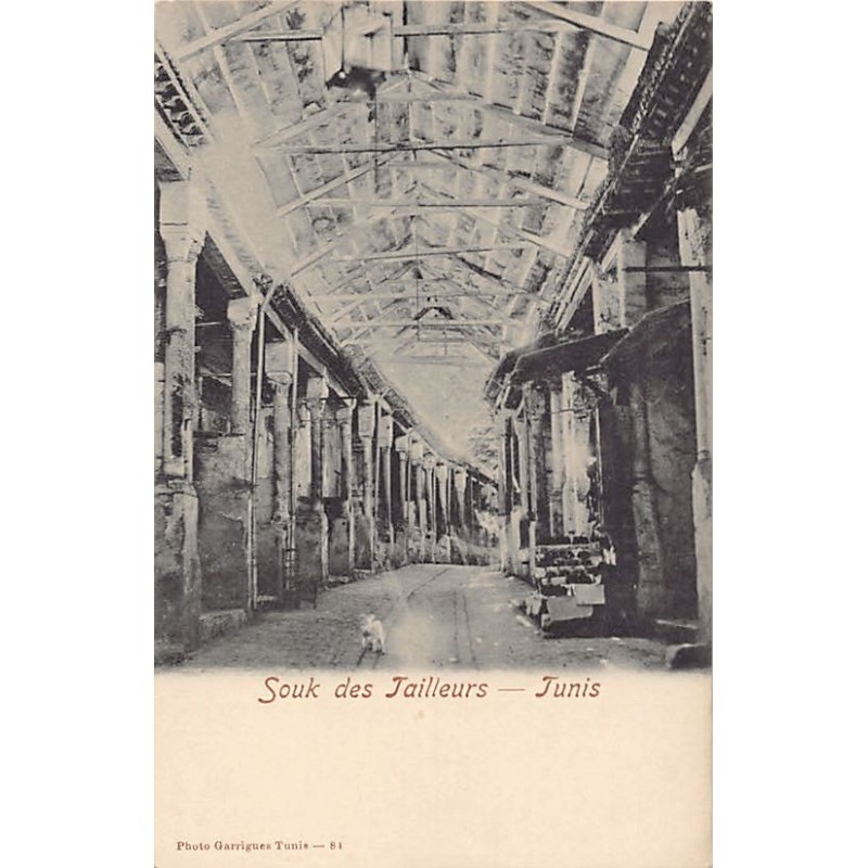 Rare collectable postcards of TUNISIA. Vintage Postcards of TUNISIA