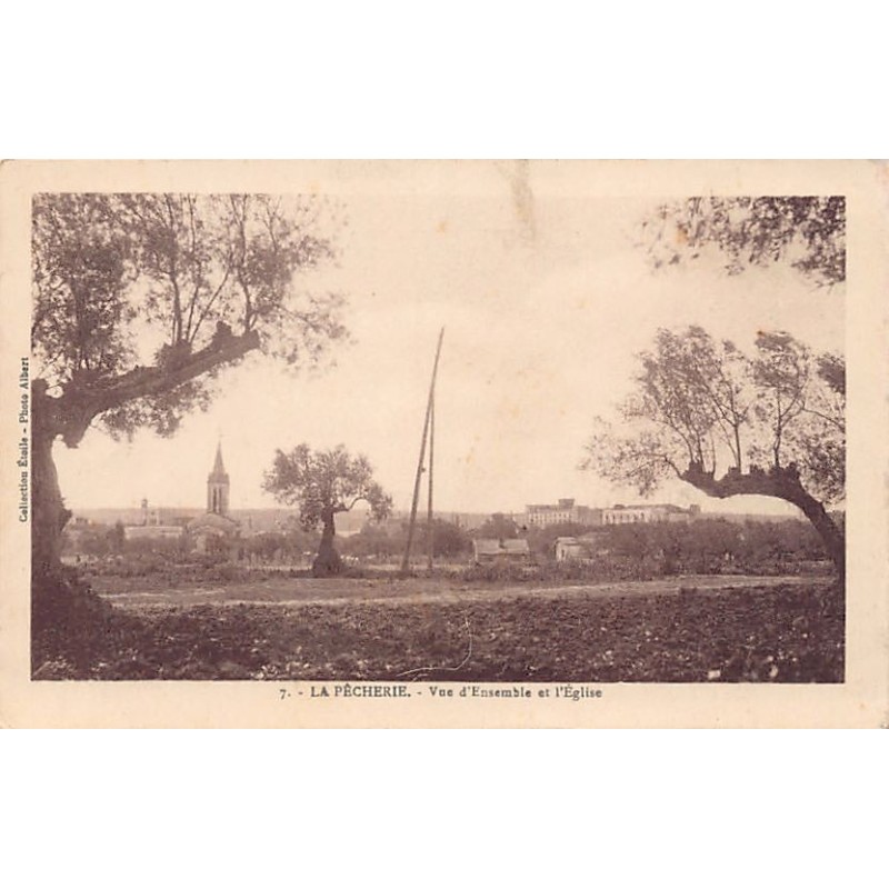 Rare collectable postcards of TUNISIA. Vintage Postcards of TUNISIA