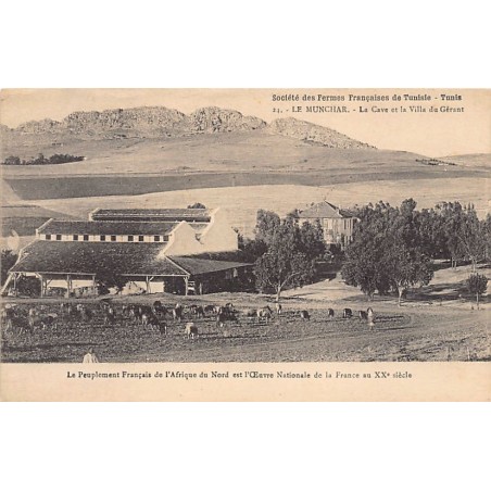 Rare collectable postcards of TUNISIA. Vintage Postcards of TUNISIA