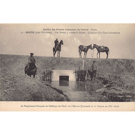 Rare collectable postcards of TUNISIA. Vintage Postcards of TUNISIA