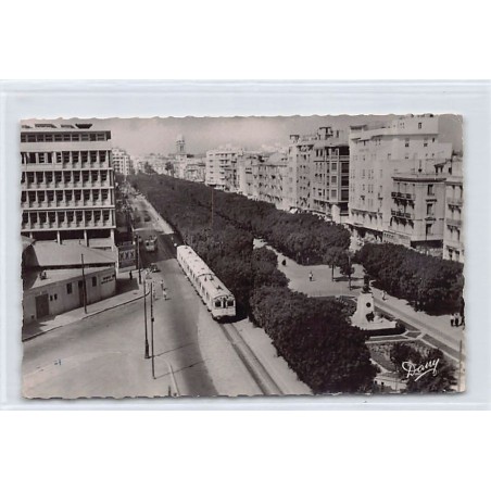 Rare collectable postcards of TUNISIA. Vintage Postcards of TUNISIA