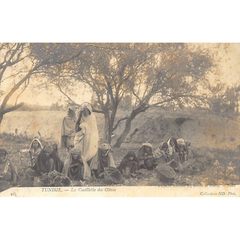 Rare collectable postcards of TUNISIA. Vintage Postcards of TUNISIA