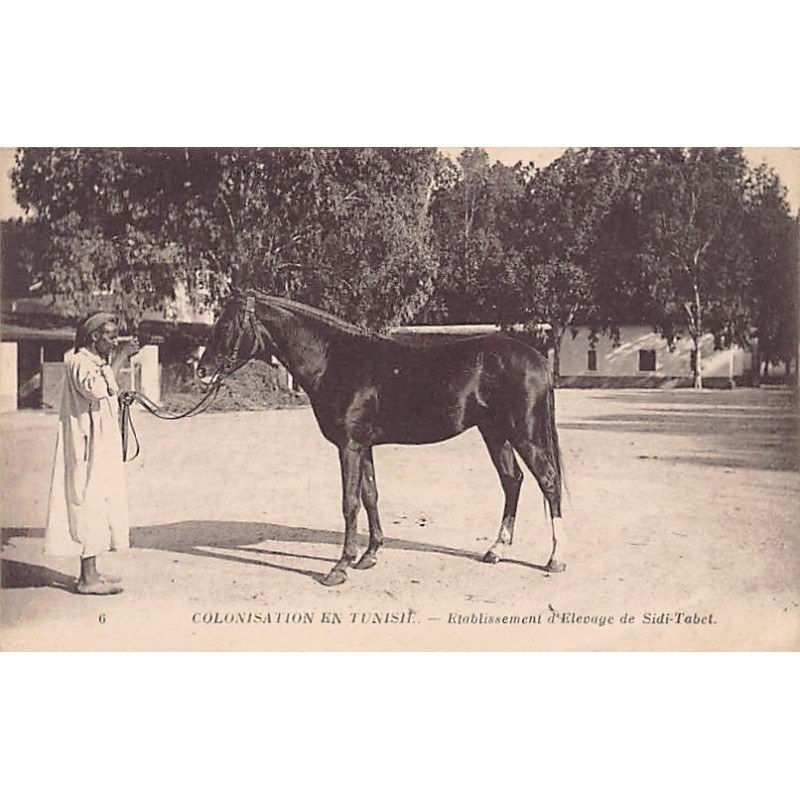 Rare collectable postcards of TUNISIA. Vintage Postcards of TUNISIA