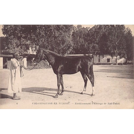 Rare collectable postcards of TUNISIA. Vintage Postcards of TUNISIA