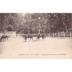 Rare collectable postcards of TUNISIA. Vintage Postcards of TUNISIA