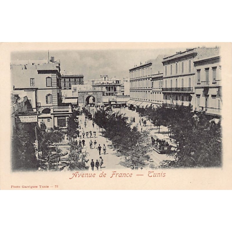 Rare collectable postcards of TUNISIA. Vintage Postcards of TUNISIA