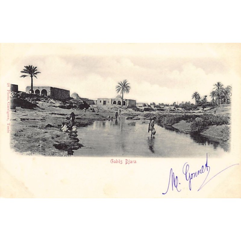 Rare collectable postcards of TUNISIA. Vintage Postcards of TUNISIA