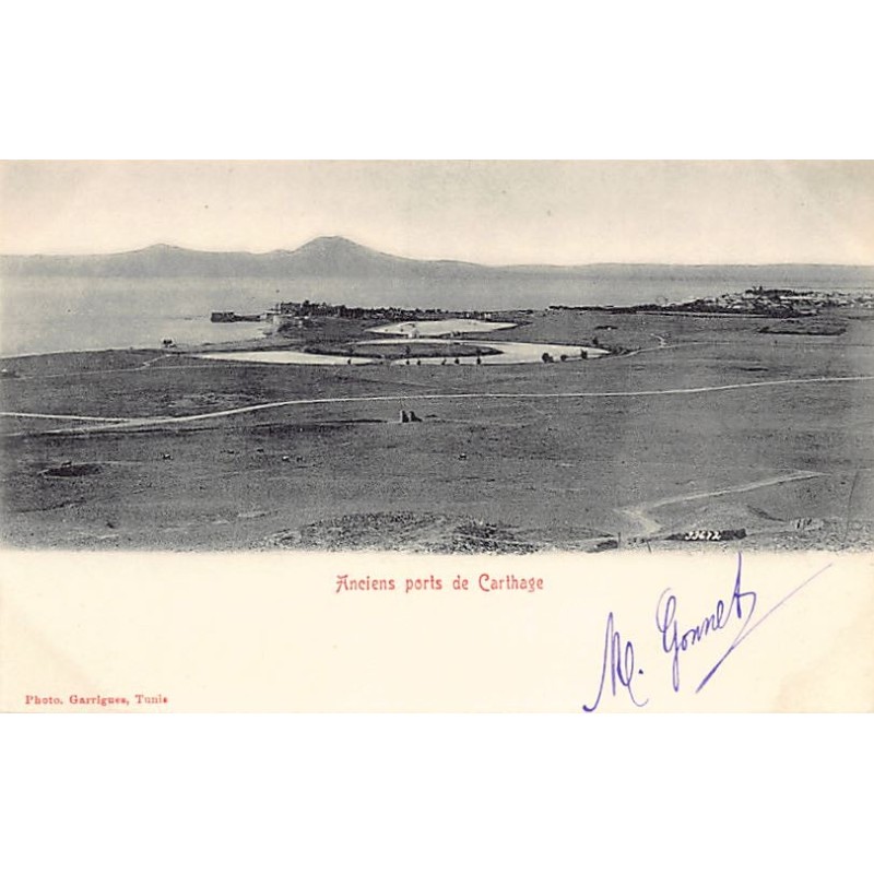 Rare collectable postcards of TUNISIA. Vintage Postcards of TUNISIA