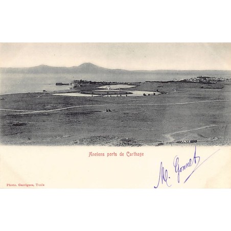 Rare collectable postcards of TUNISIA. Vintage Postcards of TUNISIA