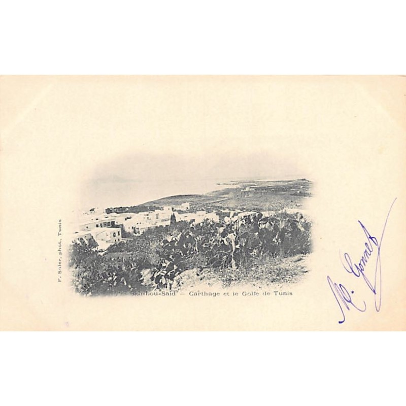 Rare collectable postcards of TUNISIA. Vintage Postcards of TUNISIA