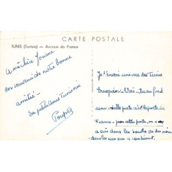 Rare collectable postcards of TUNISIA. Vintage Postcards of TUNISIA