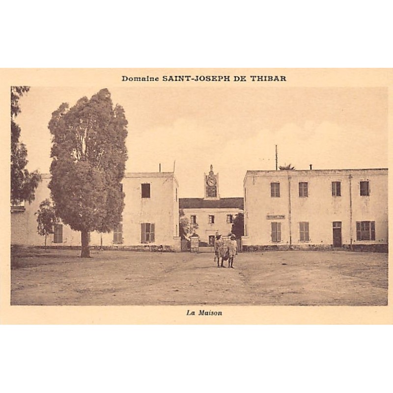 Rare collectable postcards of TUNISIA. Vintage Postcards of TUNISIA