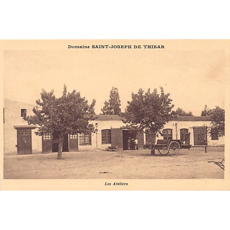 Rare collectable postcards of TUNISIA. Vintage Postcards of TUNISIA