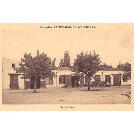 Rare collectable postcards of TUNISIA. Vintage Postcards of TUNISIA