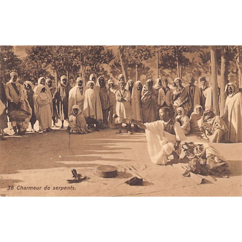 Rare collectable postcards of TUNISIA. Vintage Postcards of TUNISIA