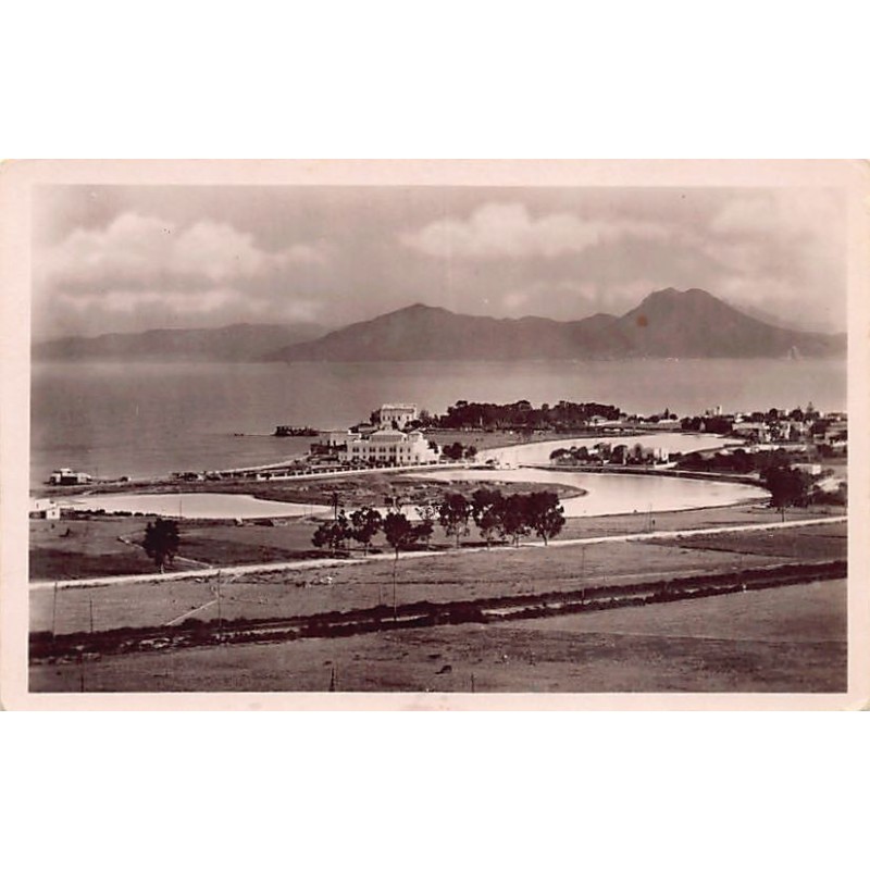 Rare collectable postcards of TUNISIA. Vintage Postcards of TUNISIA