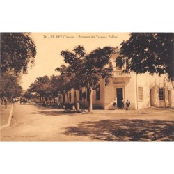 Rare collectable postcards of TUNISIA. Vintage Postcards of TUNISIA