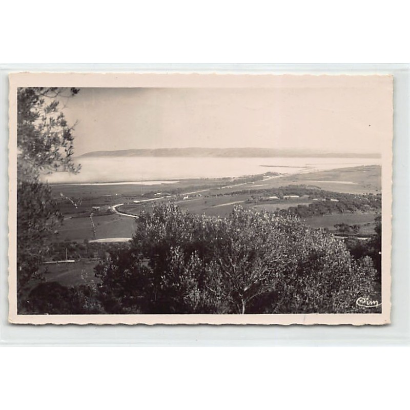 Rare collectable postcards of TUNISIA. Vintage Postcards of TUNISIA