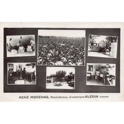 Rare collectable postcards of TUNISIA. Vintage Postcards of TUNISIA