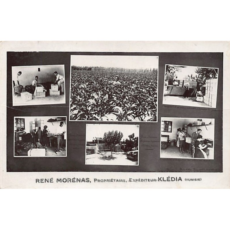 Rare collectable postcards of TUNISIA. Vintage Postcards of TUNISIA