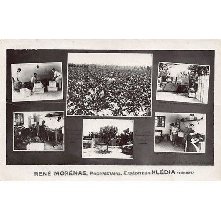 Rare collectable postcards of TUNISIA. Vintage Postcards of TUNISIA