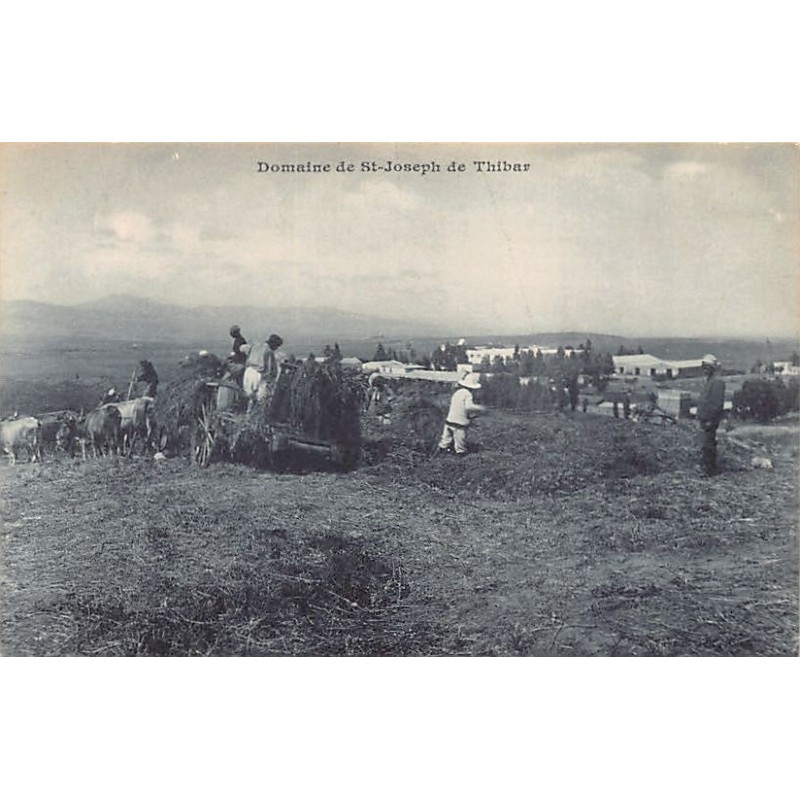 Rare collectable postcards of TUNISIA. Vintage Postcards of TUNISIA