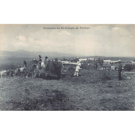 Rare collectable postcards of TUNISIA. Vintage Postcards of TUNISIA