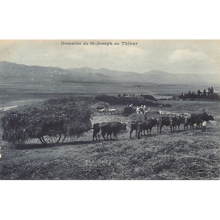 Rare collectable postcards of TUNISIA. Vintage Postcards of TUNISIA