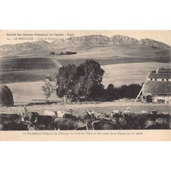 Rare collectable postcards of TUNISIA. Vintage Postcards of TUNISIA