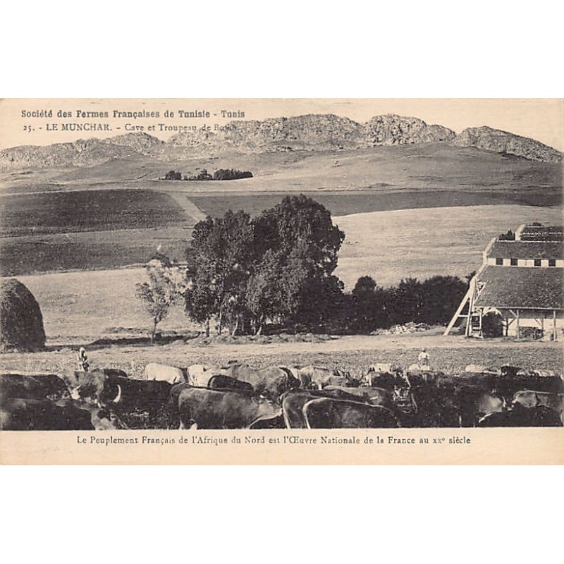 Rare collectable postcards of TUNISIA. Vintage Postcards of TUNISIA