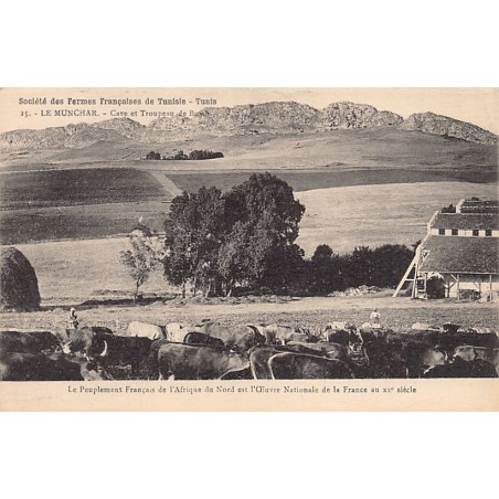 Rare collectable postcards of TUNISIA. Vintage Postcards of TUNISIA