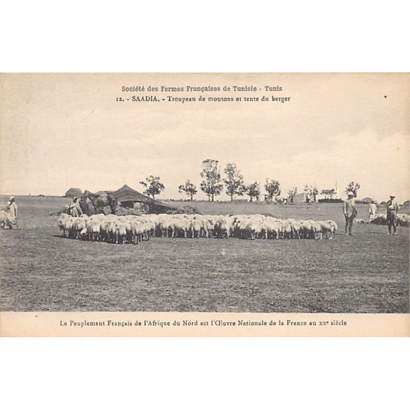 Rare collectable postcards of TUNISIA. Vintage Postcards of TUNISIA