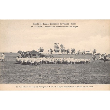 Rare collectable postcards of TUNISIA. Vintage Postcards of TUNISIA