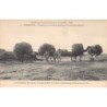 Rare collectable postcards of TUNISIA. Vintage Postcards of TUNISIA