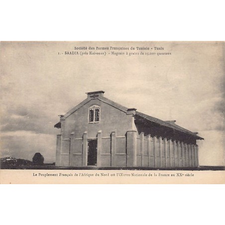 Rare collectable postcards of TUNISIA. Vintage Postcards of TUNISIA