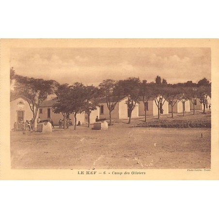 Rare collectable postcards of TUNISIA. Vintage Postcards of TUNISIA