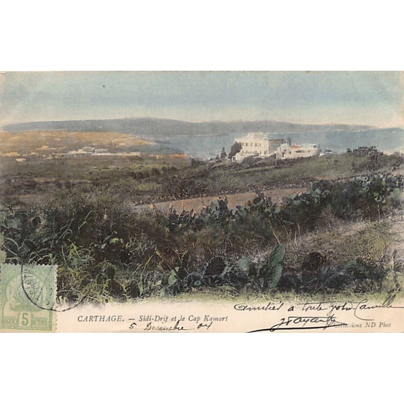 Rare collectable postcards of TUNISIA. Vintage Postcards of TUNISIA