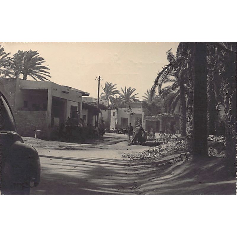 Rare collectable postcards of TUNISIA. Vintage Postcards of TUNISIA