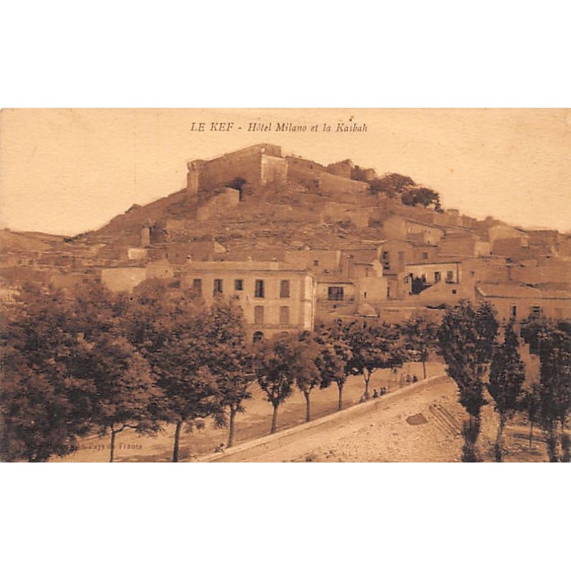 Rare collectable postcards of TUNISIA. Vintage Postcards of TUNISIA