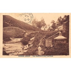 Rare collectable postcards of TUNISIA. Vintage Postcards of TUNISIA