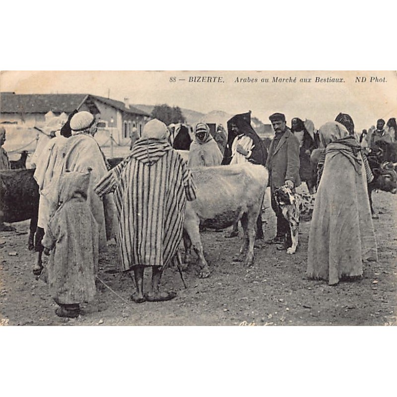 Rare collectable postcards of TUNISIA. Vintage Postcards of TUNISIA