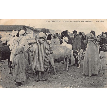 Rare collectable postcards of TUNISIA. Vintage Postcards of TUNISIA