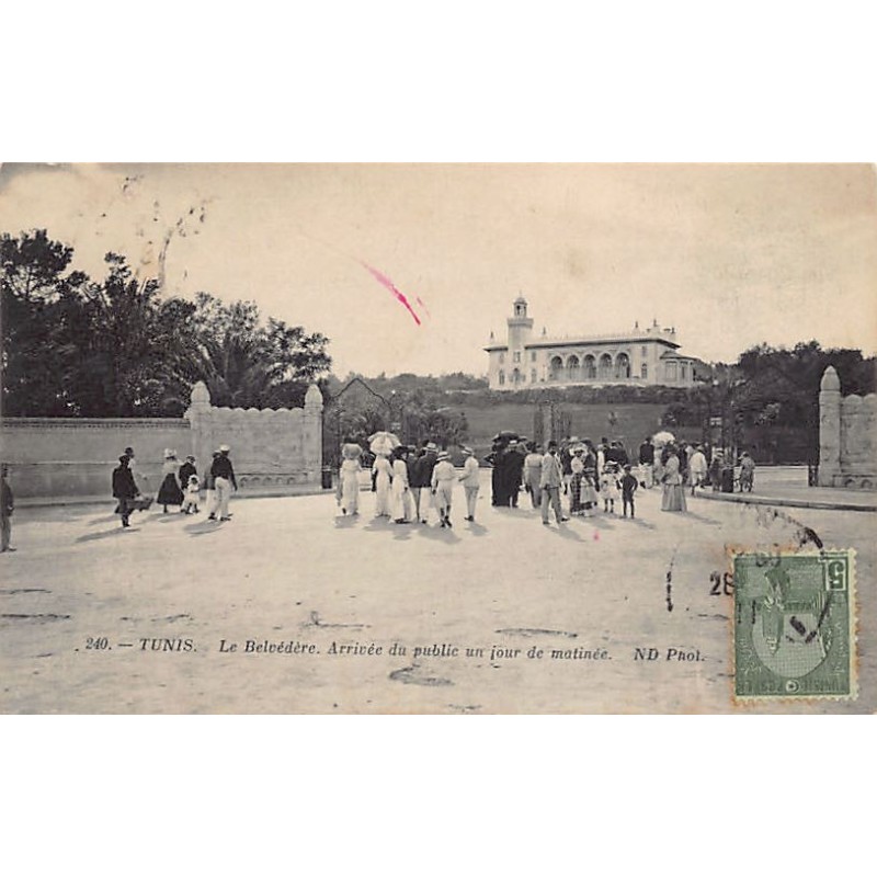 Rare collectable postcards of TUNISIA. Vintage Postcards of TUNISIA