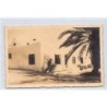Rare collectable postcards of TUNISIA. Vintage Postcards of TUNISIA