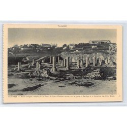 Rare collectable postcards of TUNISIA. Vintage Postcards of TUNISIA