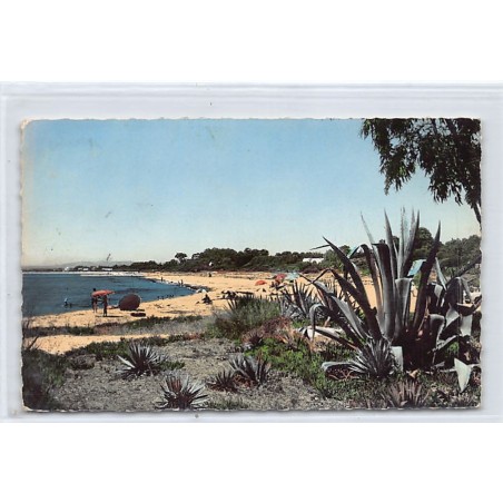 Rare collectable postcards of TUNISIA. Vintage Postcards of TUNISIA