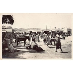 Rare collectable postcards of TUNISIA. Vintage Postcards of TUNISIA